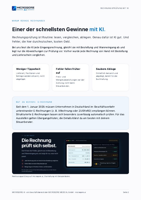 Seite 2 aus dem Ratgeber Rechnungsprüfung mit KI